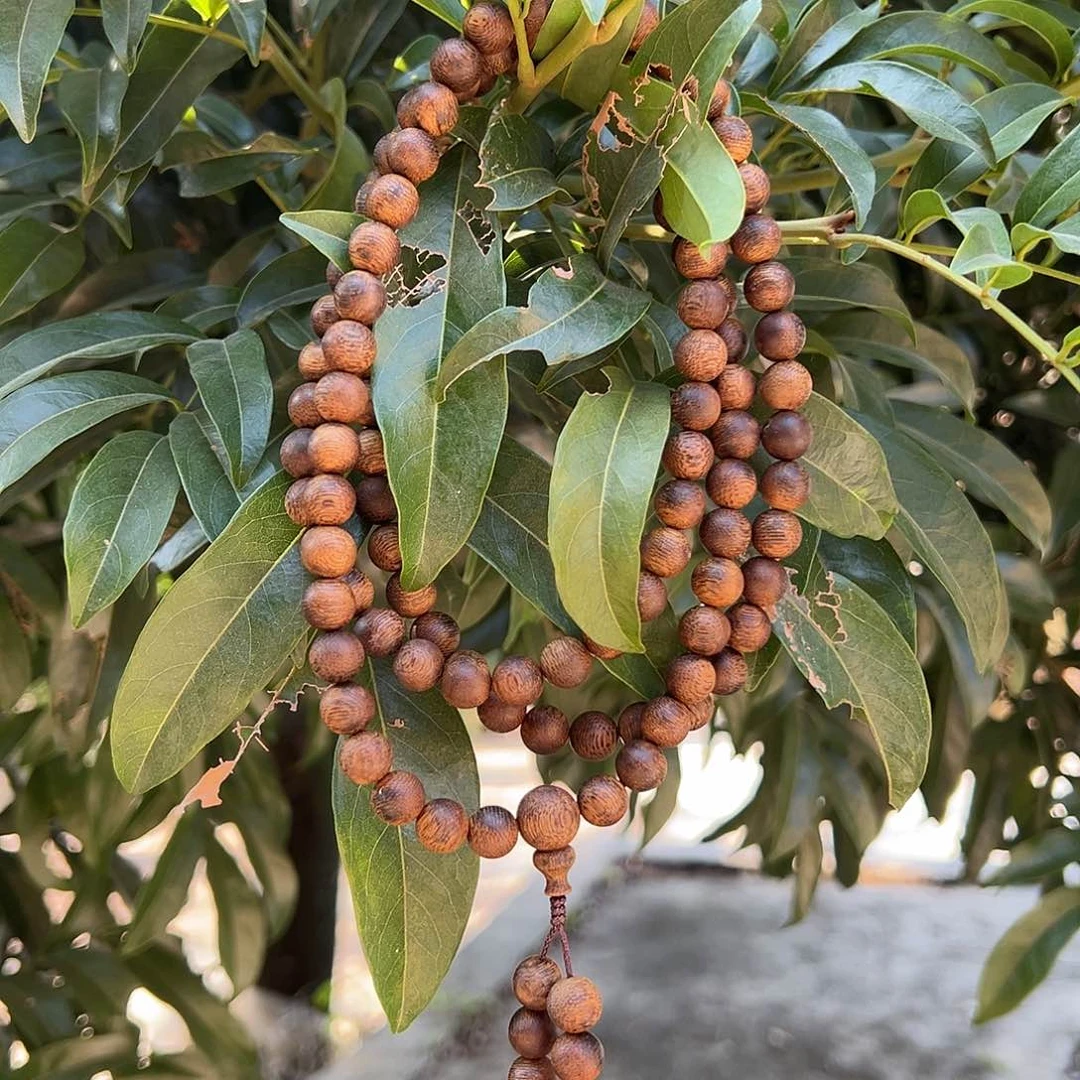 沉香手串09红金泥沉水浮46克多样性发一沉香手串