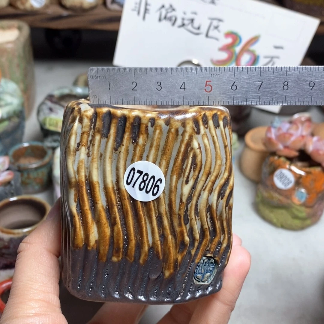 花盆拍3送一个小礼物