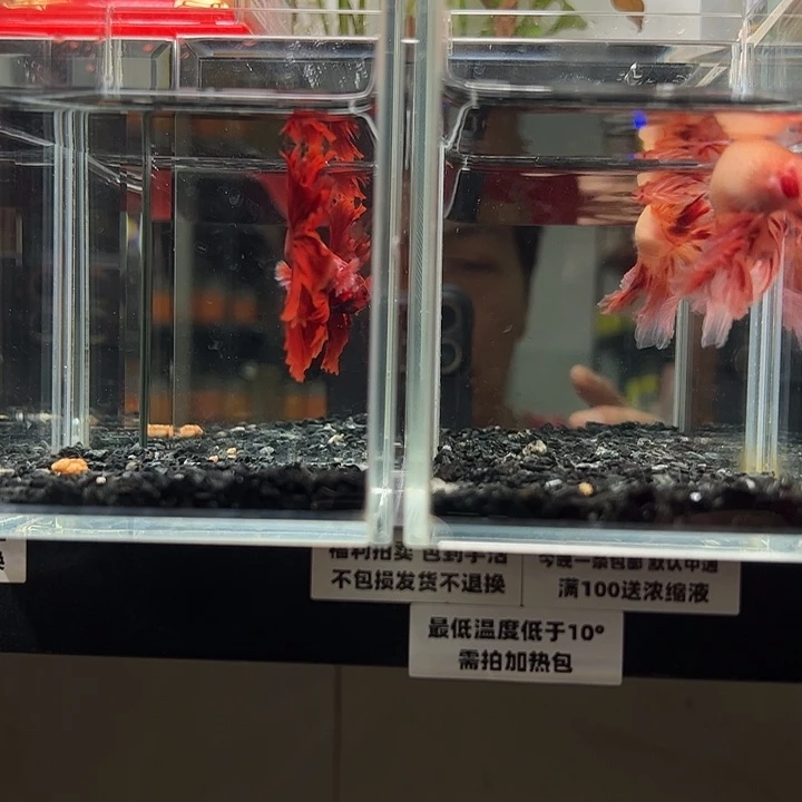 斗鱼跑单拉黑23日80+97