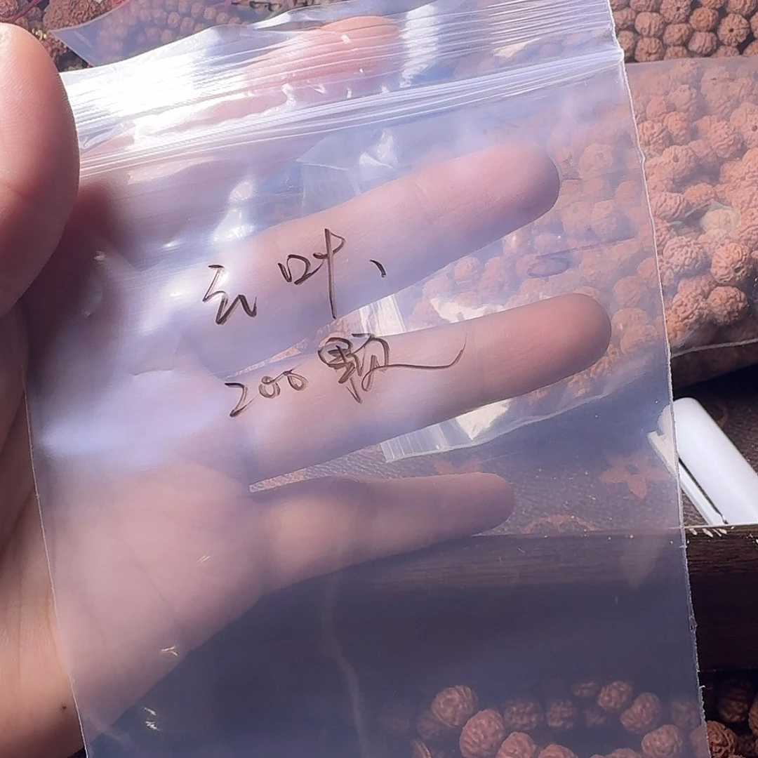 云***叶吊坠金刚菩提200颗黄头有瑕疵