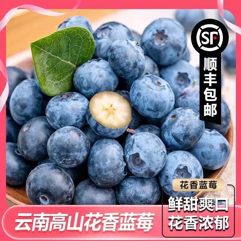 【云南花香蓝莓】基地新鲜采摘精选精品大果甜脆顺丰空运优瑞卡