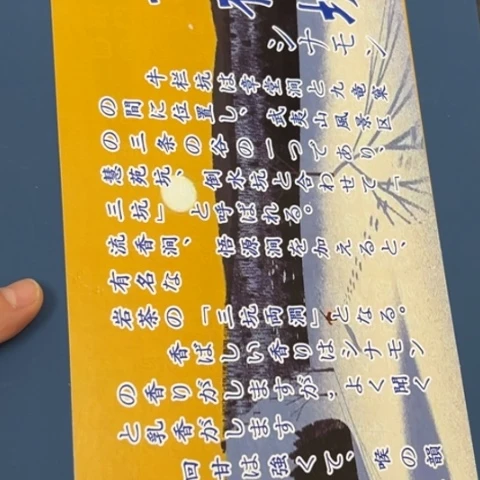吊坠柏香籽/百香籽
