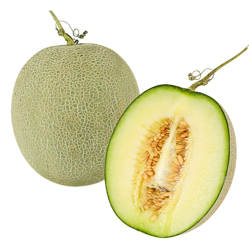 【水果】 山东网纹蜜瓜（颗）约2斤-2.5斤