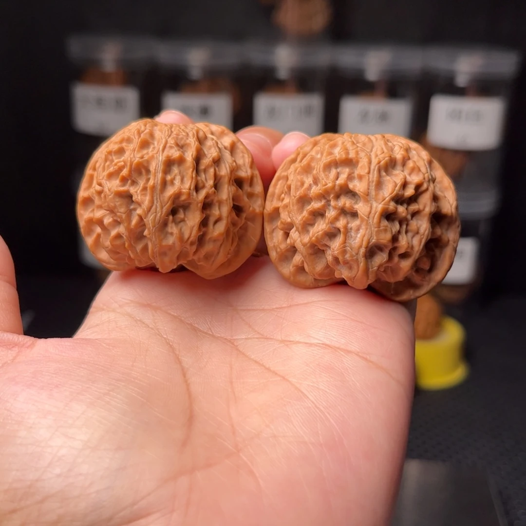 41苹果园41苹果园