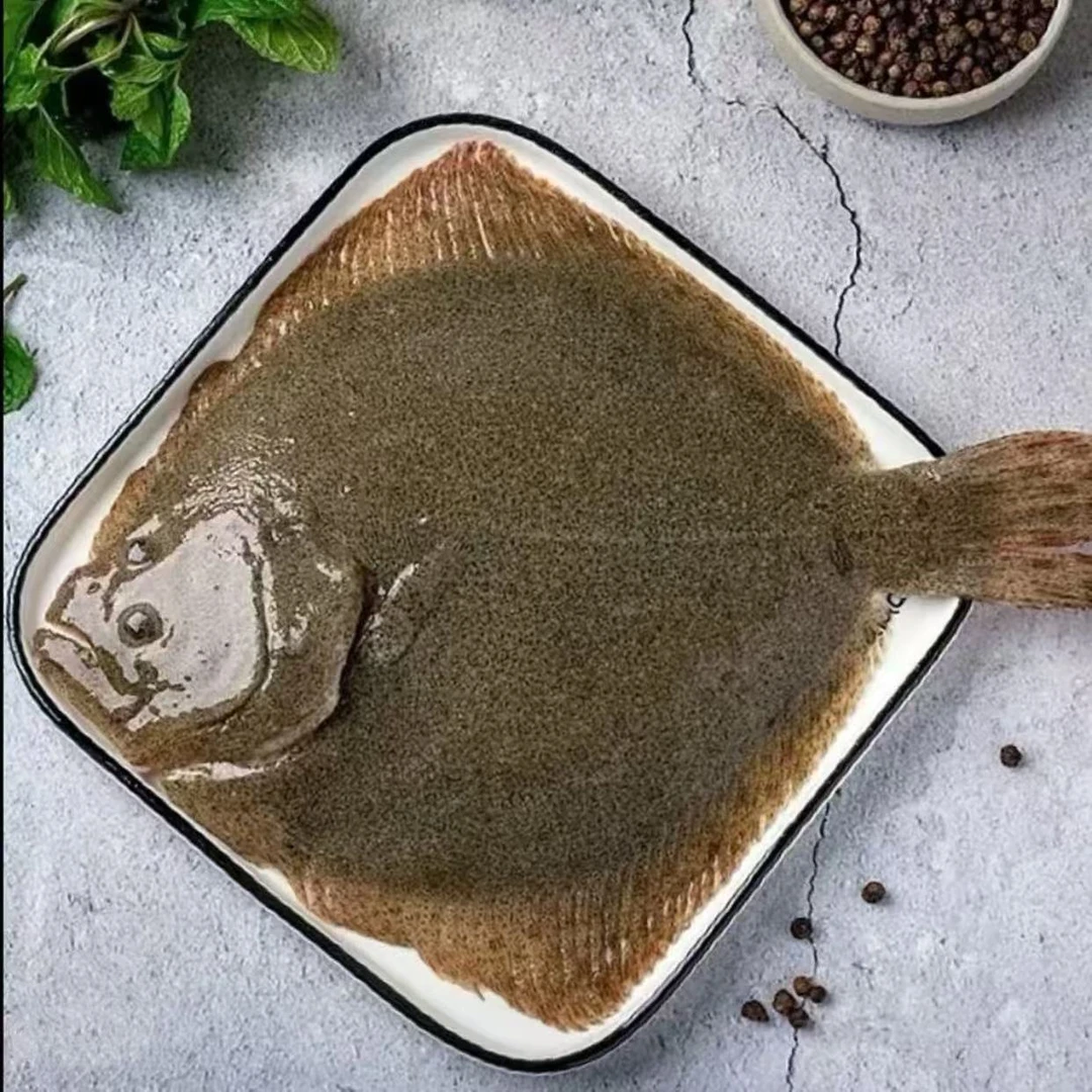 帮杀 深海捕捞 多宝鱼450g-550g/条 鲜活速冻锁鲜 顺丰冷链发货