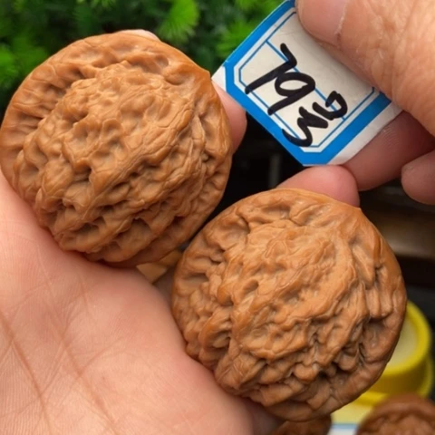 文玩核桃吊坠金公子43