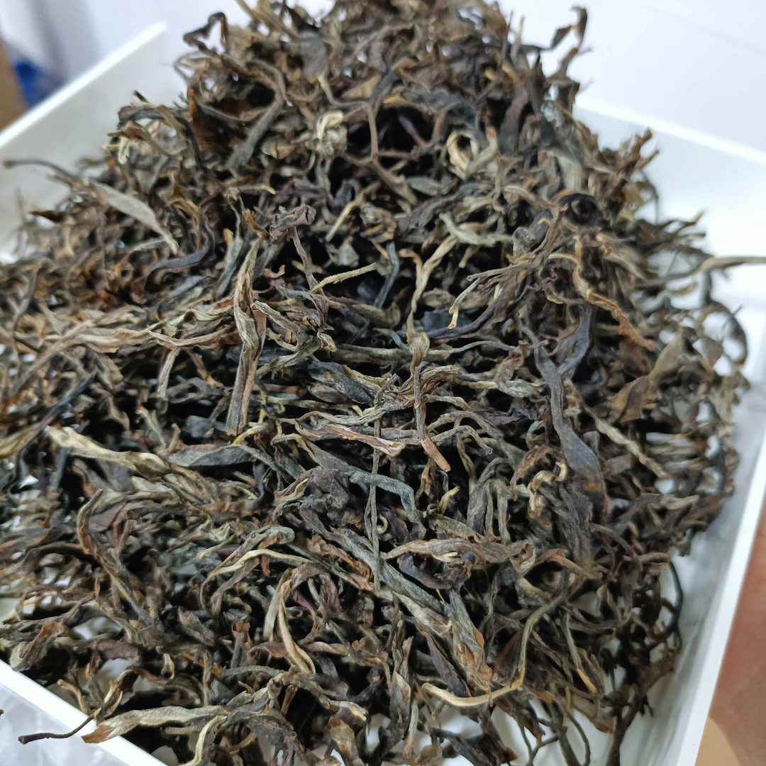 2022年巴达大黑山古树