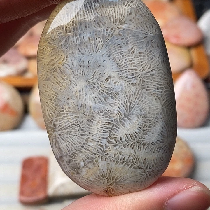 一***情硅化珊瑚未镶嵌颈饰