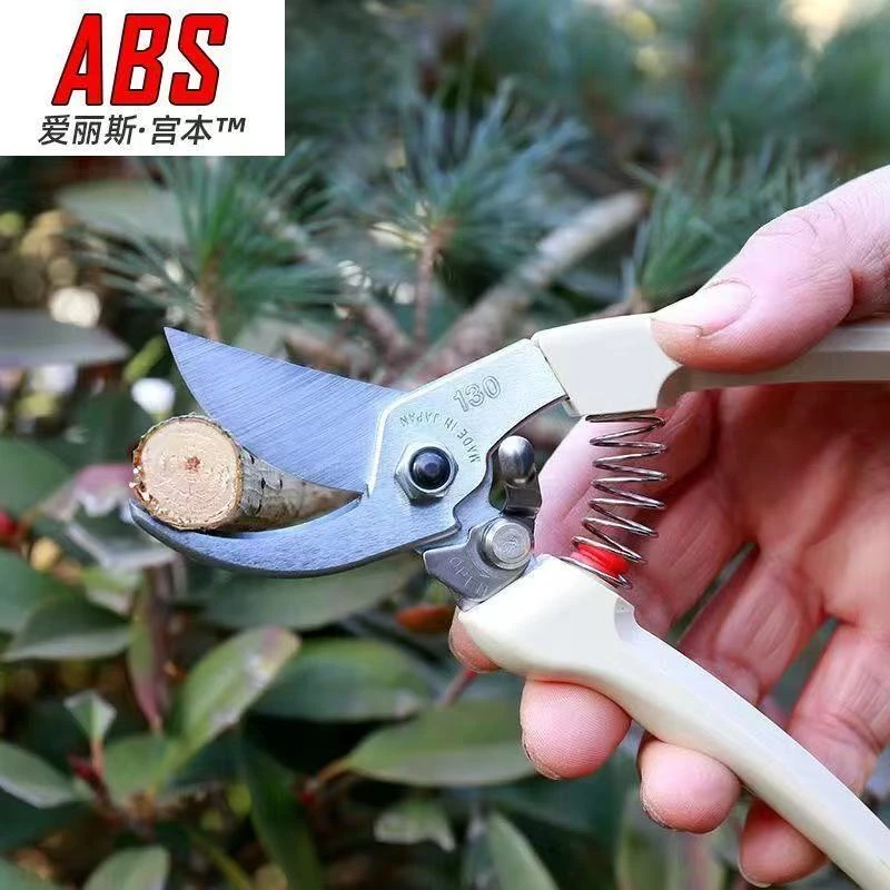 爱丽丝宫本果树修枝嫁接剪园艺剪剪树枝粗枝花枝省力轻便锋利剪刀