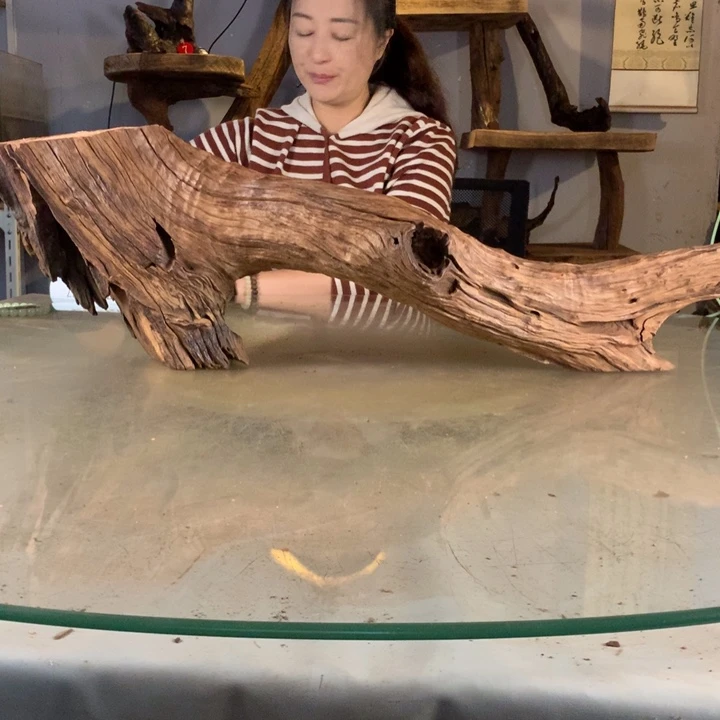 X***Y天然的云南紫柚木会黄水