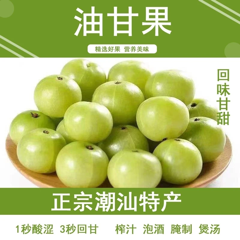 潮汕特产甘果油甘赤皮油甘甜种余甘果煲汤榨汁推荐500克