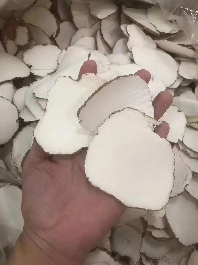 优选虎菌片厚片用来煮水煮汤非常好一包250克