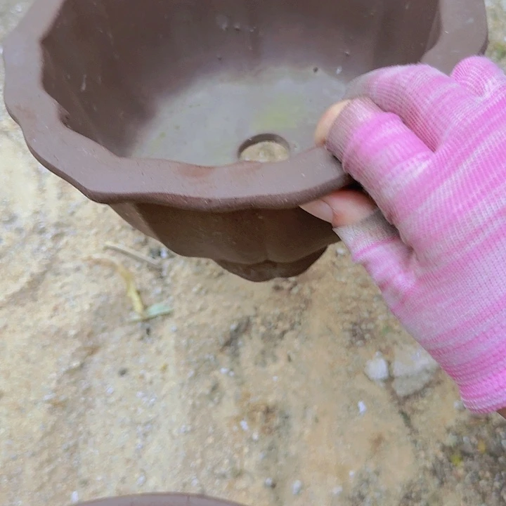 紫砂20紫色圆莲花佳品