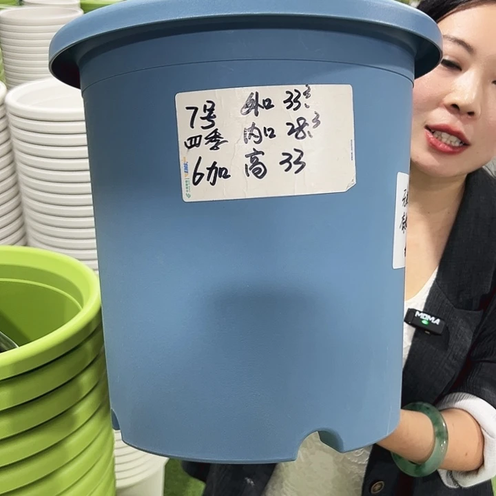 特价7号四季口33高33白色6只无托