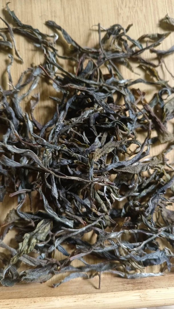 2025年头春坝气山古树《散料》