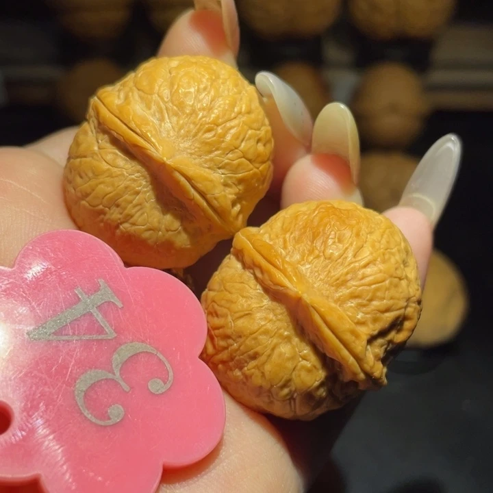 龙珠33尺寸核桃。