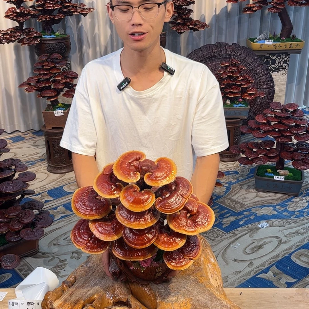 无花朵8888888888888