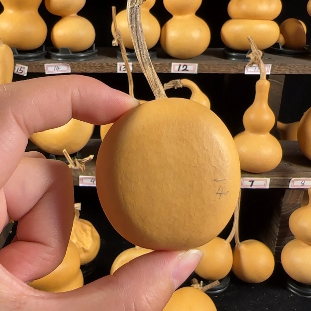 听*说葫芦葫芦葫芦葫芦葫芦葫芦葫芦