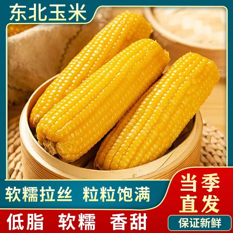 东北黄糯甜玉米真空装新鲜香甜糯玉米棒早餐代餐大棒低脂苞米整支