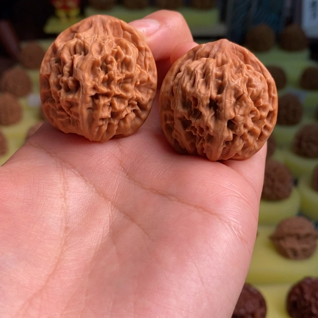 核桃秦岭大花34尺寸