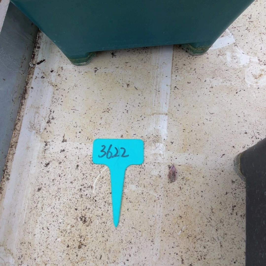 祈***2622上午多肉植物