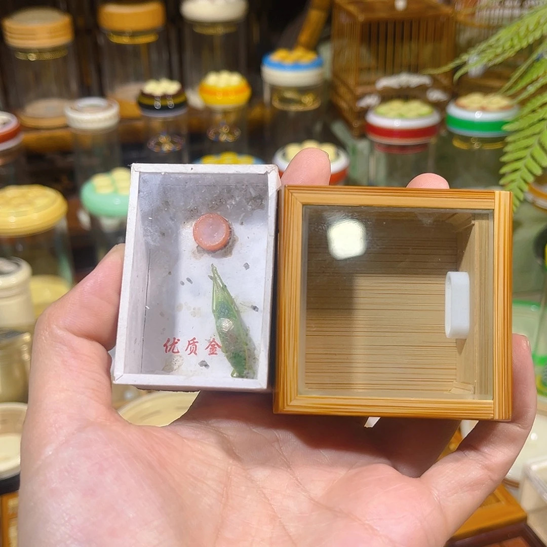 蟋蟀老竹竹蛉盒+绿金钟
