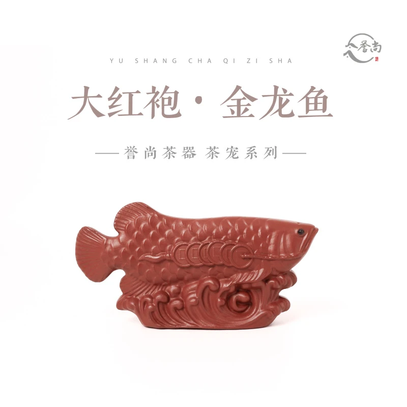 大红袍金龙鱼（爽）茶宠