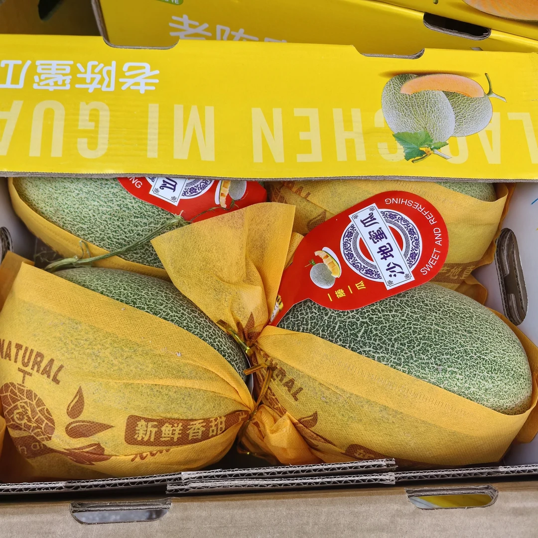 哈密瓜鲜滕一箱四粒装约15-16斤左右