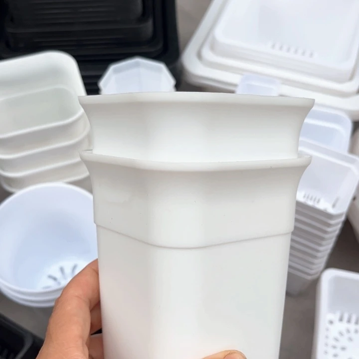 白方加厚口10高14一组5