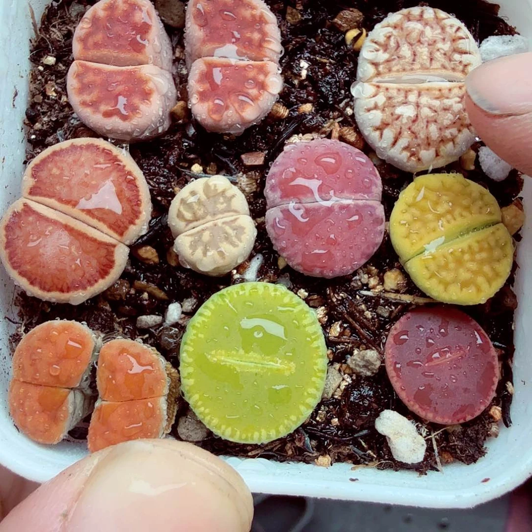 我们一起看电视呢哈哈好419