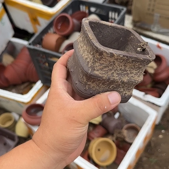 你就在家里吃好吧亲爱你