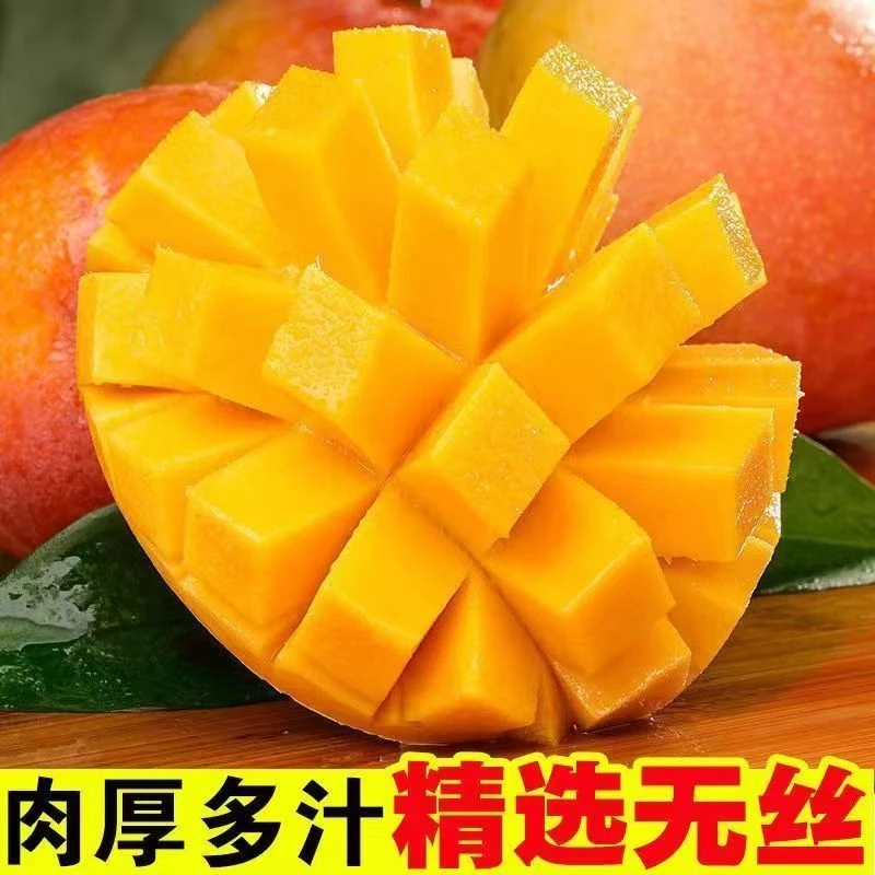 【爆甜现摘】云南苹果芒澳芒当季水果凯特芒果彩虹芒新鲜现摘（zy）