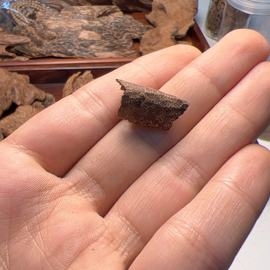 木：海南霸王岭虫漏，福利香品一块