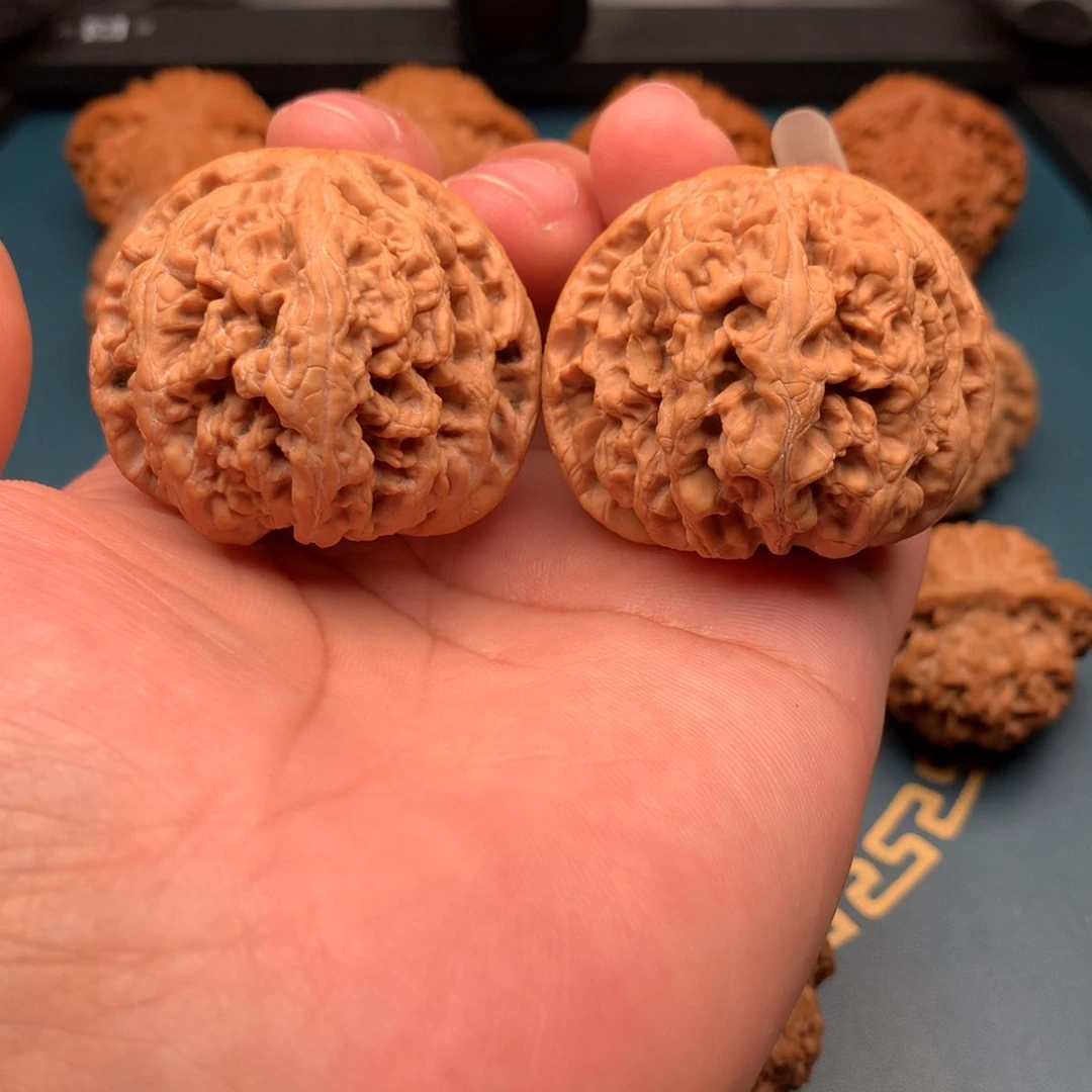 文玩核桃把件独**骚45粗筋688