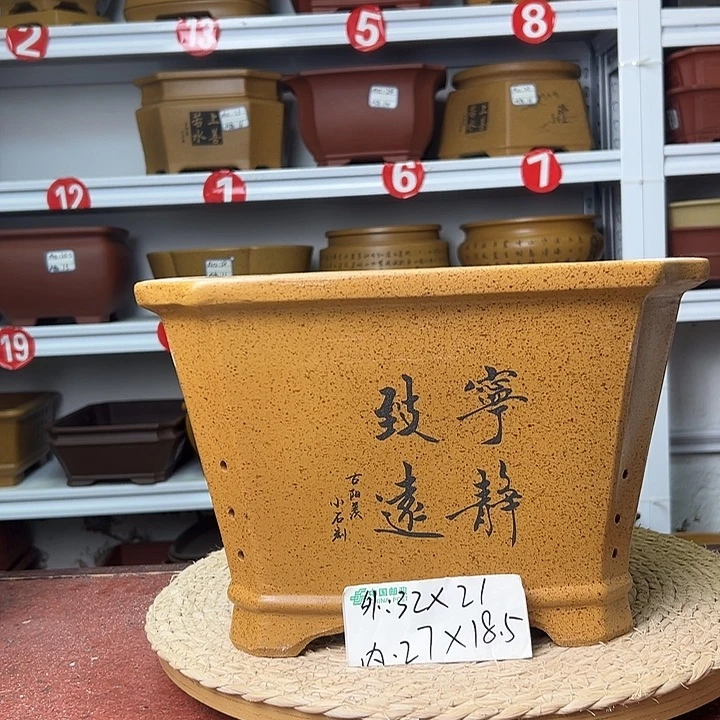 紫砂花盆蛇年大吉