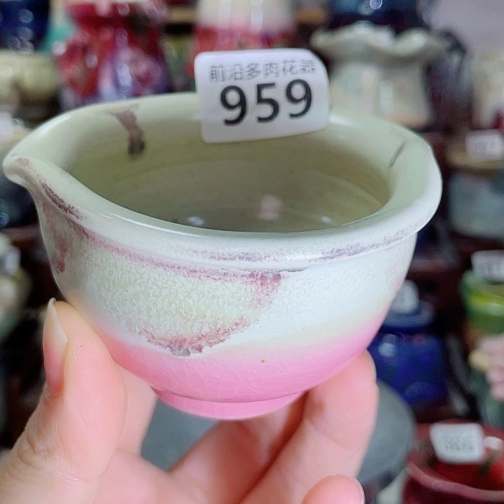 9狼盆内口径6高度6