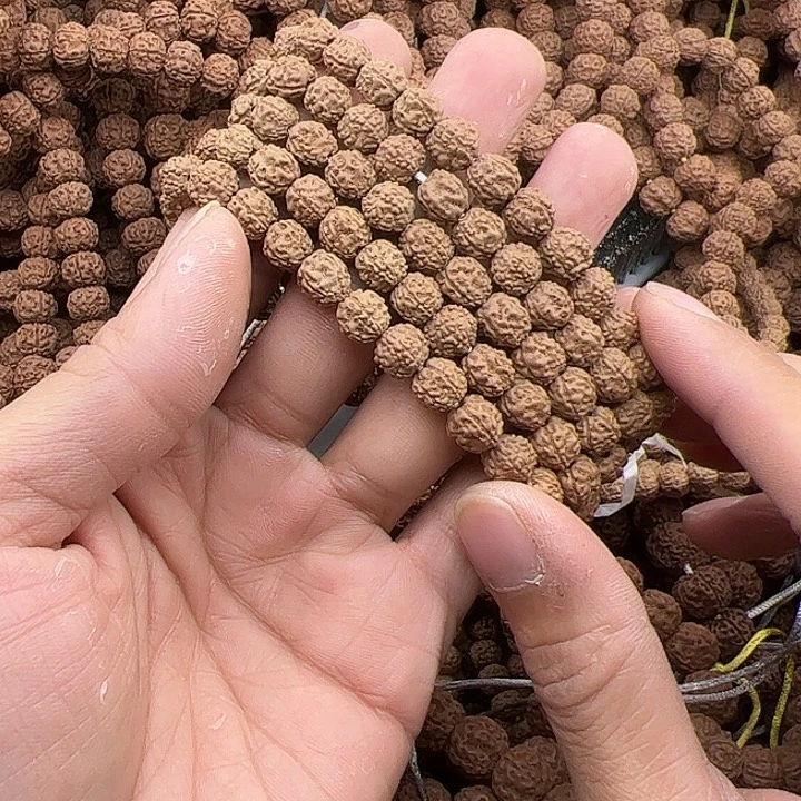 张***9金刚菩提手串谢谢