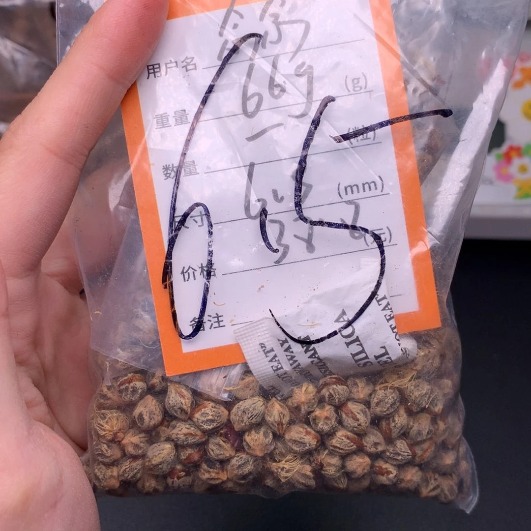 念***念吊坠柏香籽/百香籽