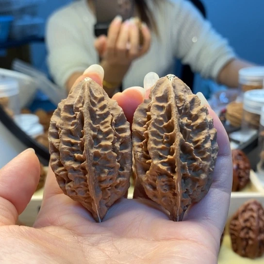 桃核把件变色龙楸子