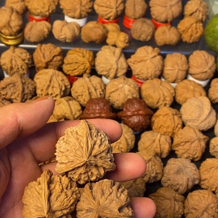 一***叁大叶紫檀（黑酸枝木类）