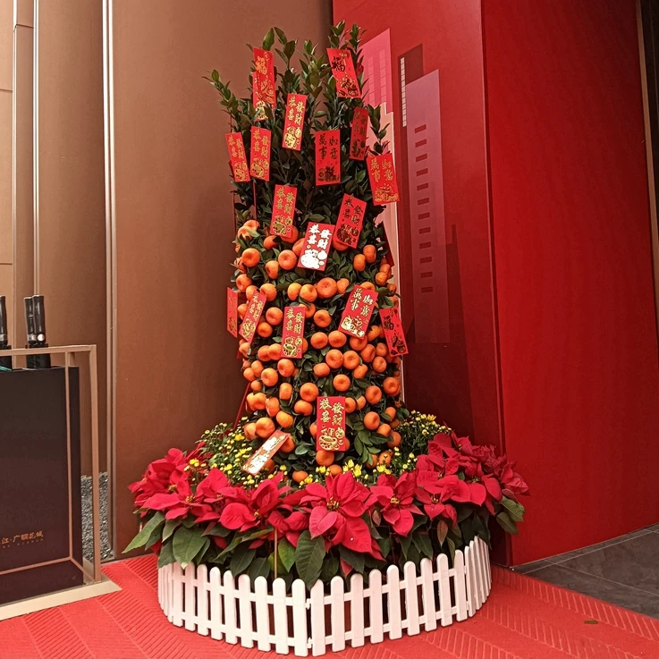 春节年宵花卉大型盆栽 新居办公室开业乔迁过年送礼  红红火火