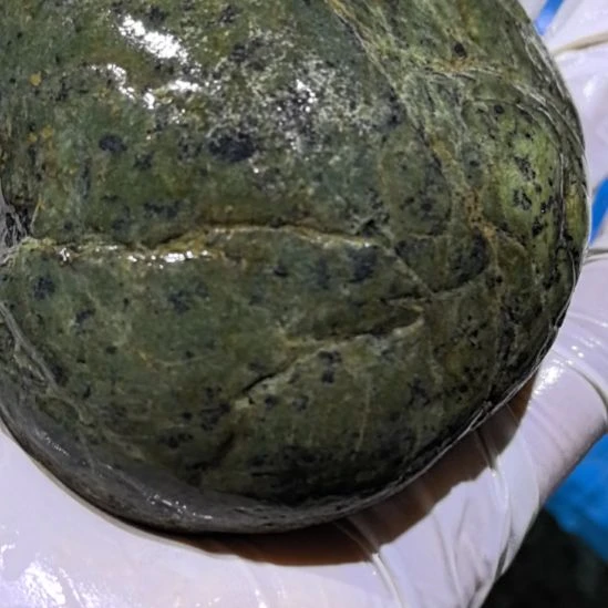 星***卡木藏玉药王石原石手把件