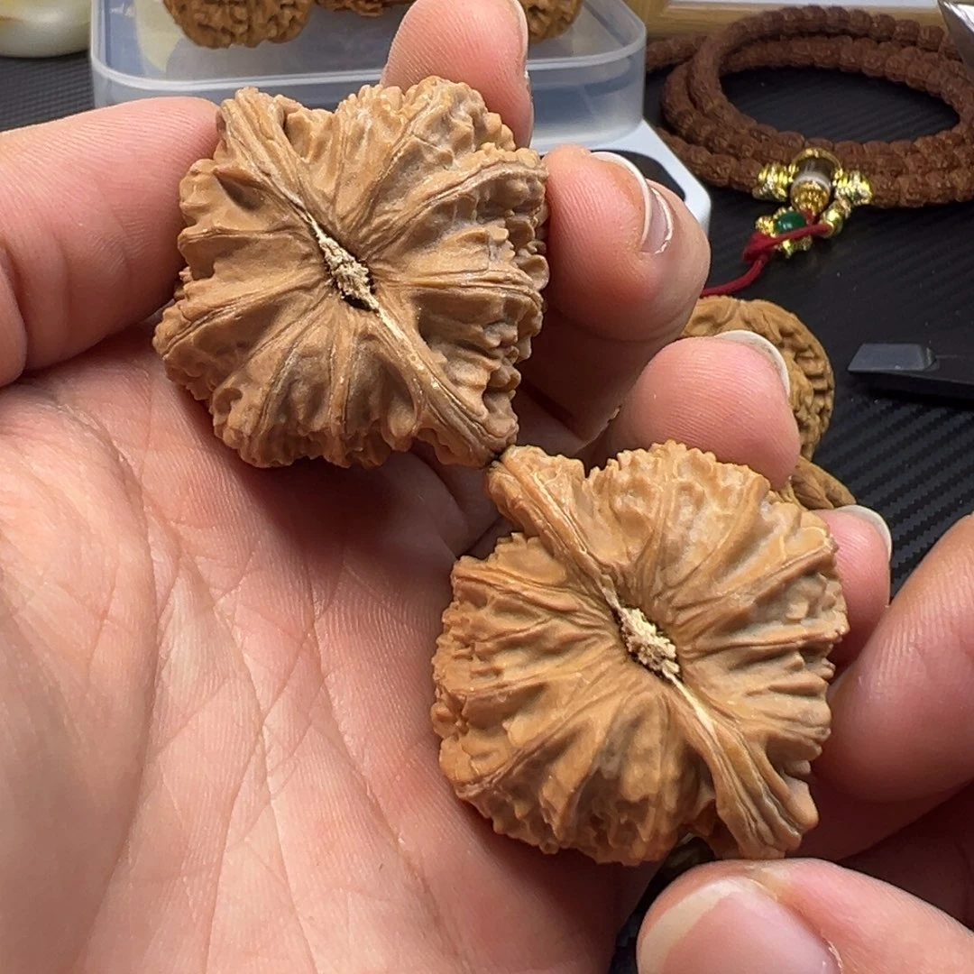 把件文玩核桃42全品白狮子有微黄头