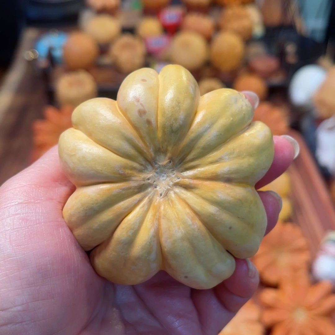 将****白墨西哥葫芦手把小爪