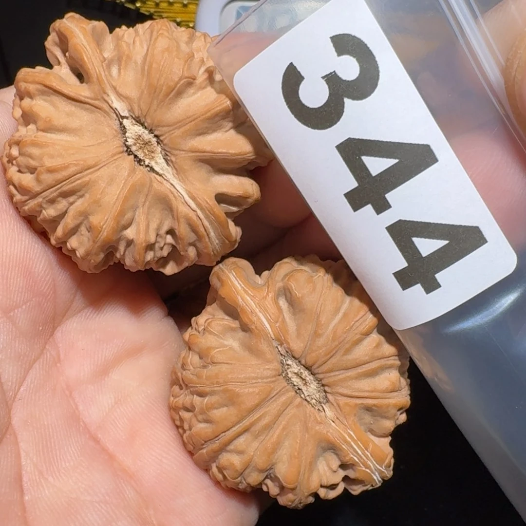 文玩核桃把件饶***病白狮42
