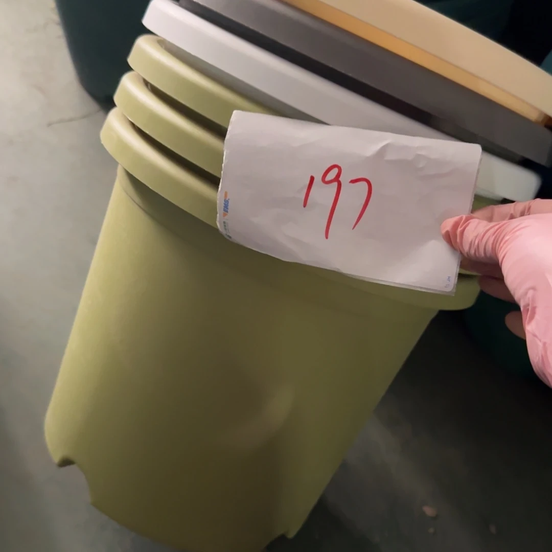 编号197微瑕无拖