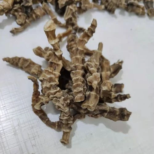 【卖山货】下山地参