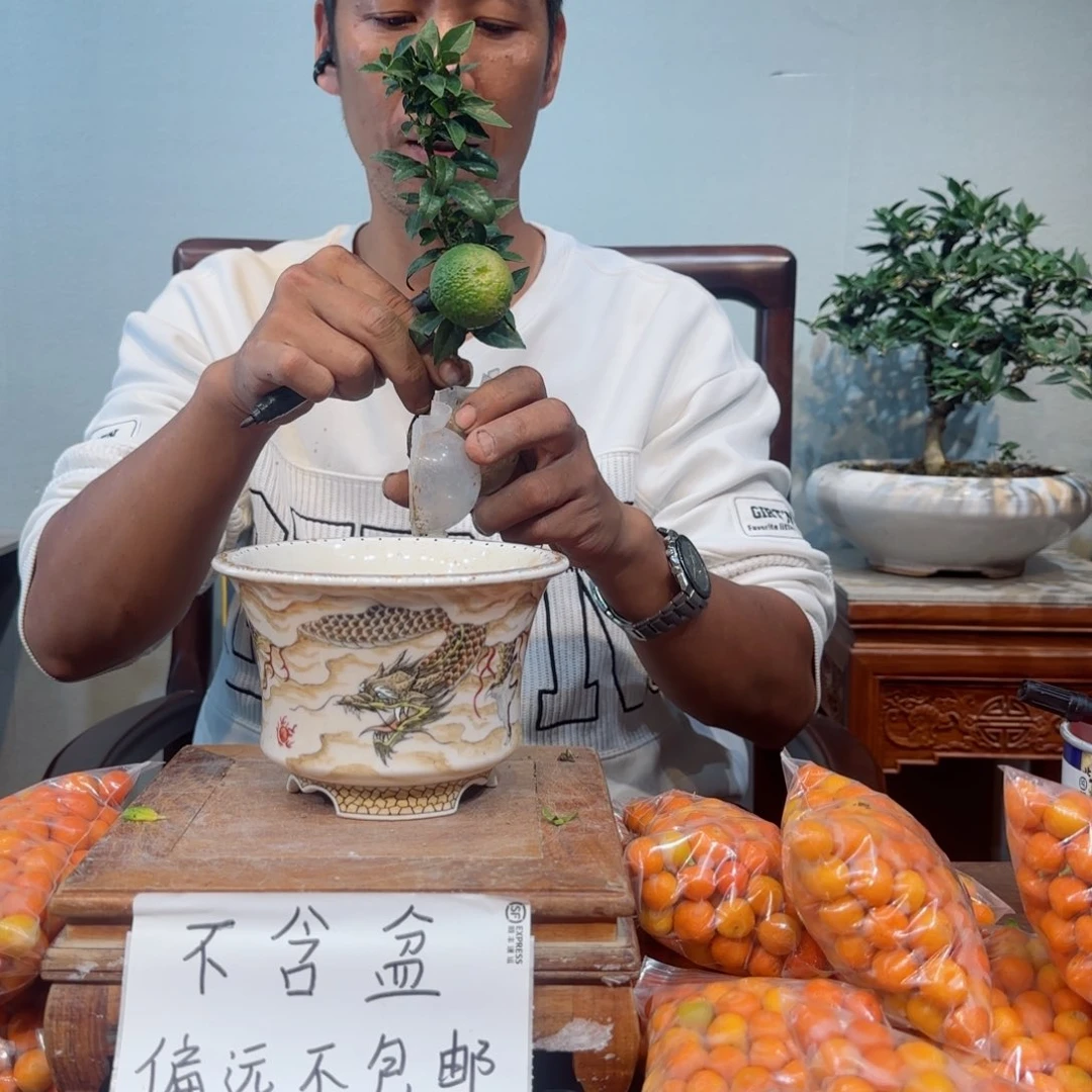 少量花朵（建议范围：2朵-5朵 或40%以下）源*力