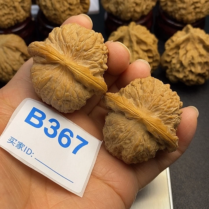 核桃血麒麟4:3，有修
