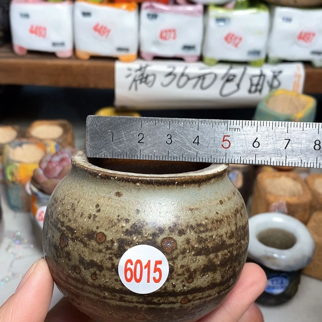 红陶拍5送一个小